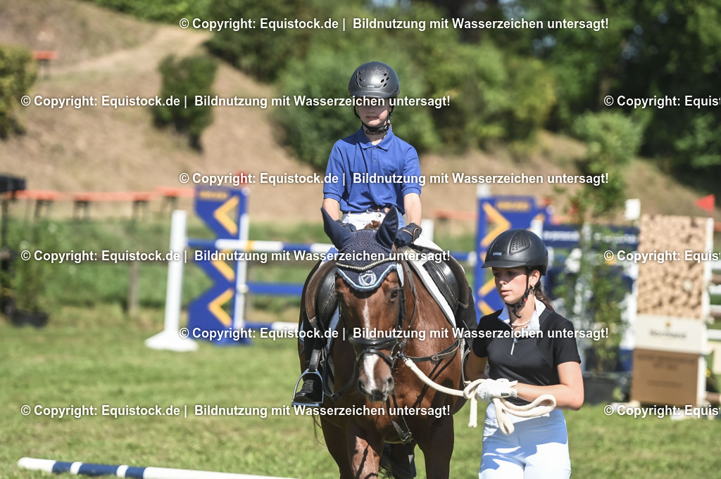 20230910_11-1_Führzügel-WB_0042 | Foto: Thomas Hartig