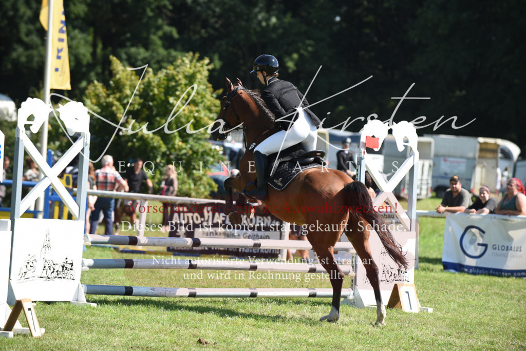 DSC_9420 | Pferde- und Turnierfotografie in Westsachsen. Pferdeportraits, Auftragszeichnungen und intuitive Kunst.