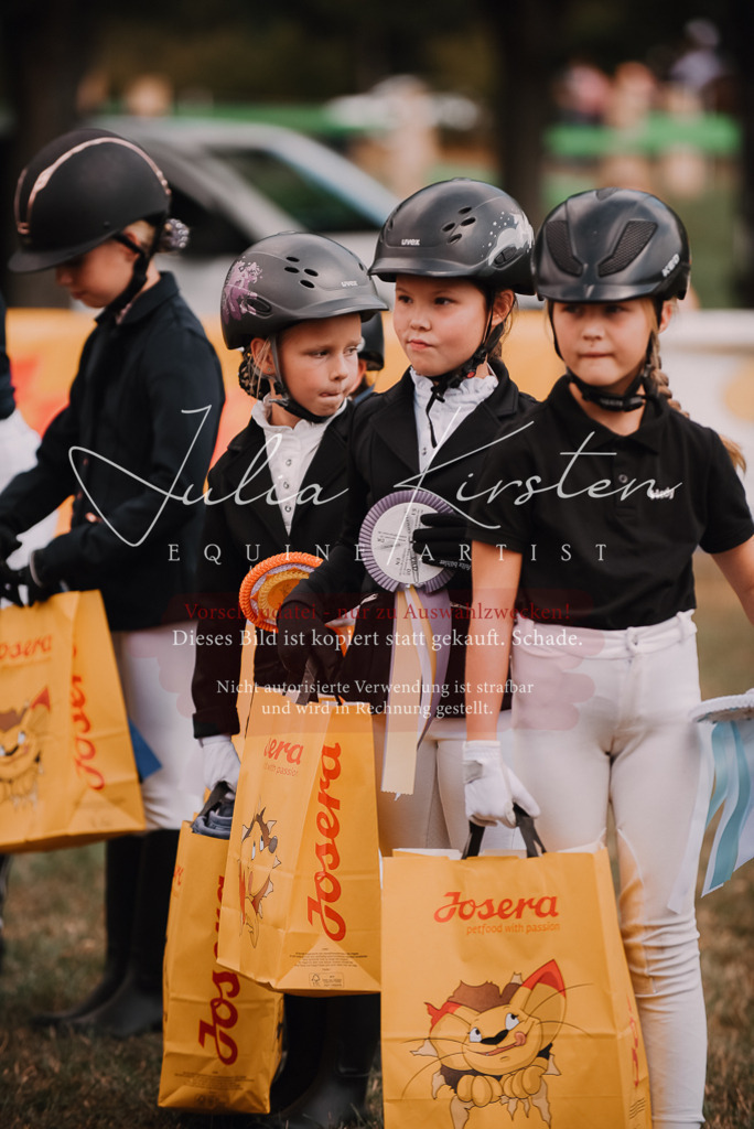 DSC_6382 | Pferde- und Turnierfotografie in Westsachsen. Pferdeportraits, Auftragszeichnungen und intuitive Kunst.