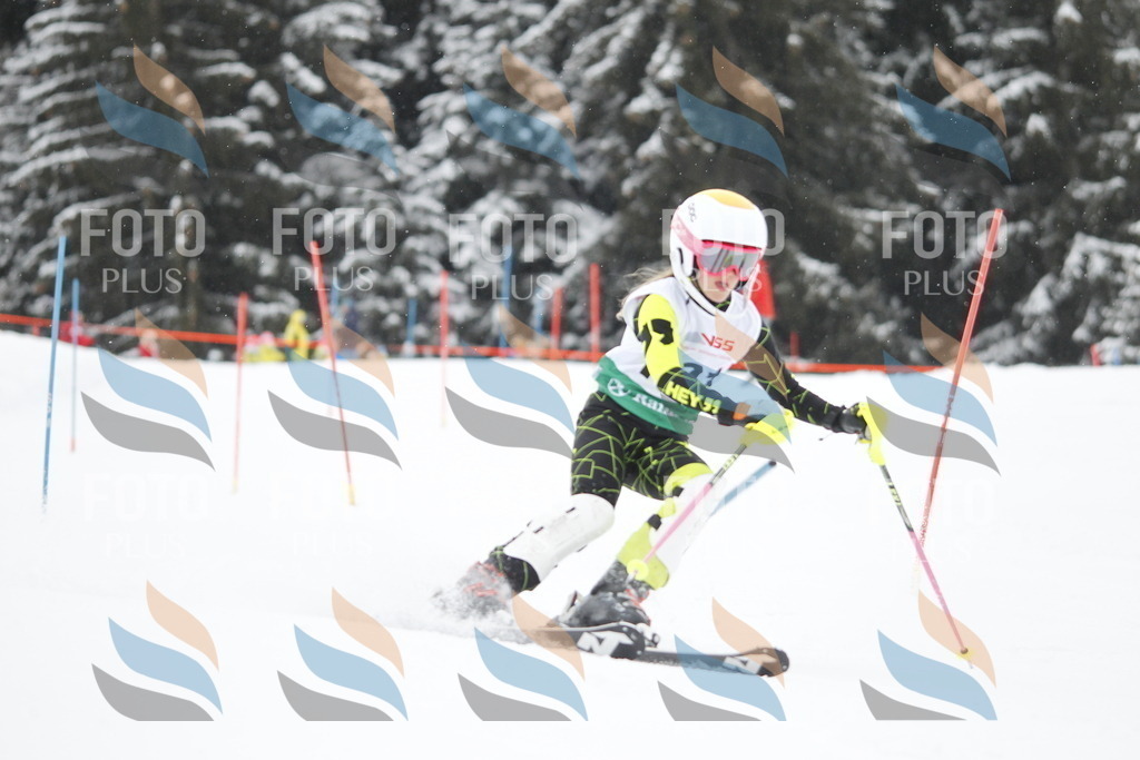 A1460 | holidayphoto