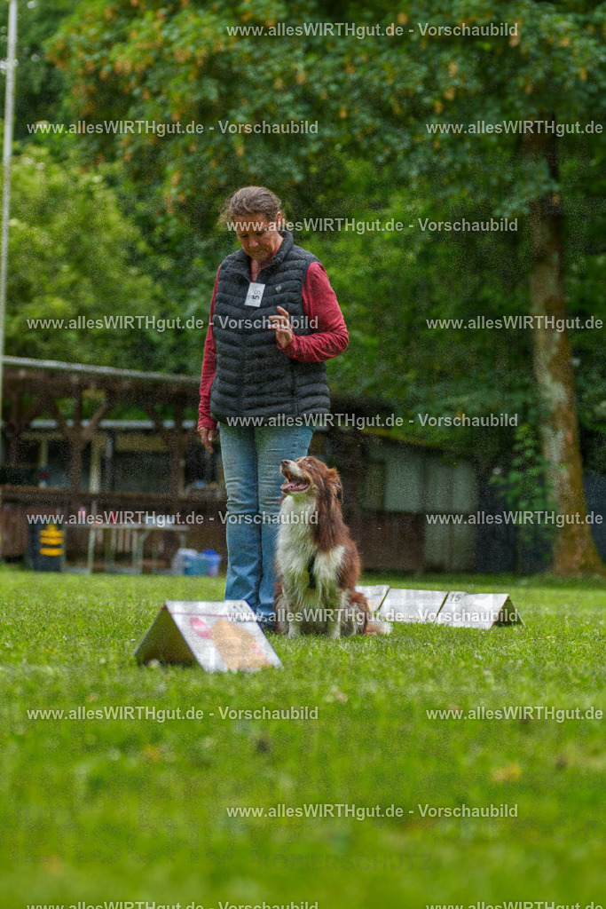 @allesWIRTHgut_Tierfotografie - www.allesWIRTHgut.de - 7R501509 | Professionelle Tierfotografie in Mönchengladbach von Daniel Wirth (allesWIRTHgut). Liebevolle & natürliche Bilder von Hunden & Katzen für unvergessliche Erinnerungen.