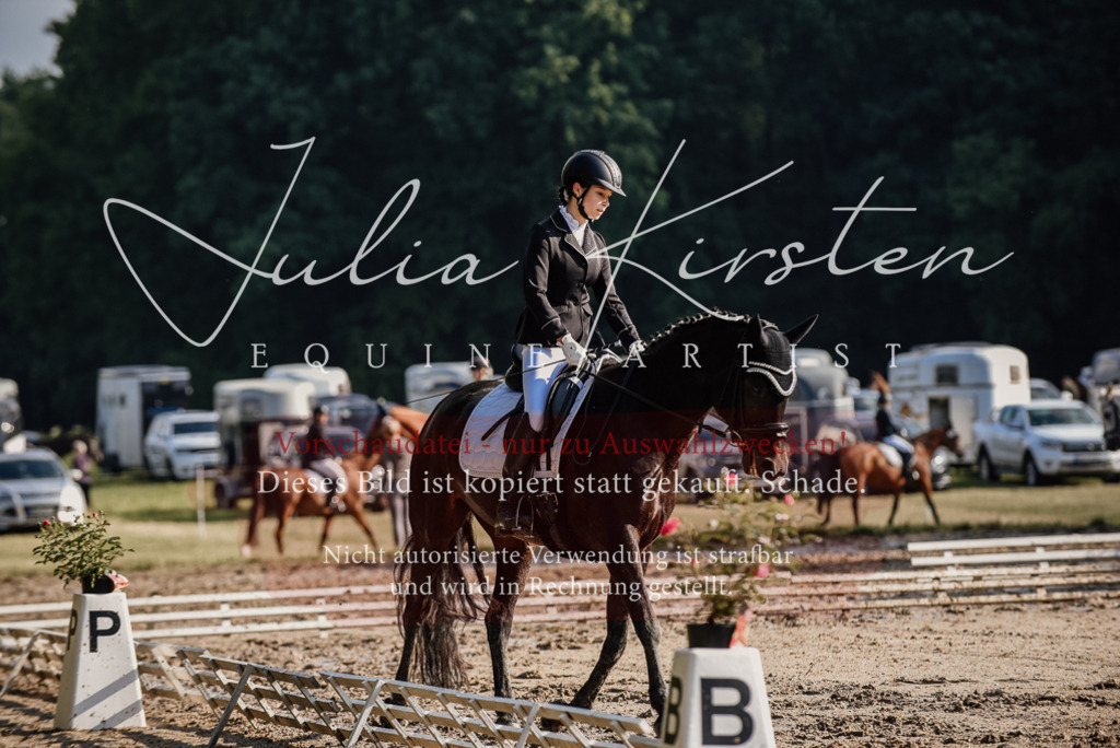 DSC_7872 | Pferde- und Turnierfotografie in Westsachsen. Pferdeportraits, Auftragszeichnungen und intuitive Kunst.