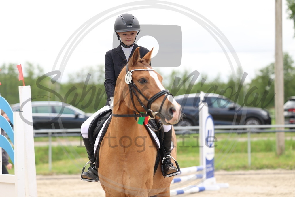 994A8519 | sabrinanicolaifotografie - Realisiert mit Pictrs.com