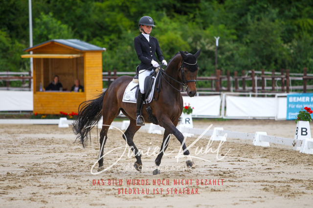 DKP46811 | Turniersportfotografie; Pferdefotografie; Dressurfotografie