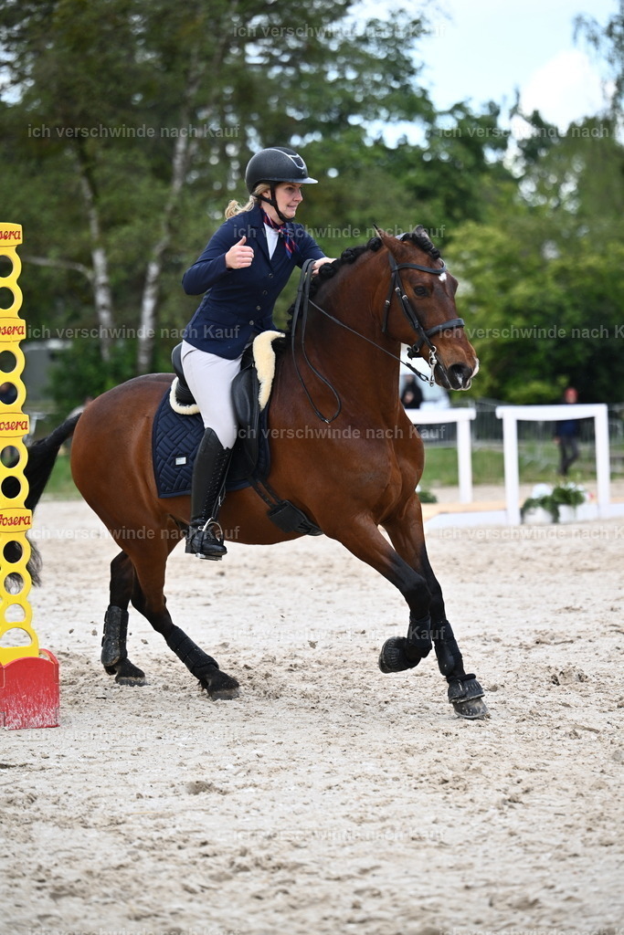 PI26_SP_Sara_Landvogt_226_5584.JPG | working equitationturnier fotograf videograf stoibphotography marixx film working equitation deutschland reitsport turnierfotografie eventfotografie equestrian events