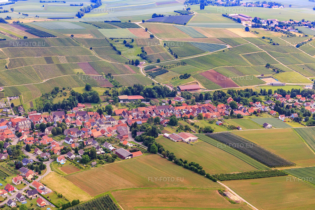 Vue aérienne: Vue de la ville depuis le sud-ouest à Steinseltz dans le département Bas Rhin, France – .Photo: IMG_100728.jpg prise le 05/06/2017 par Werner Riehm/FLY-FOTO.eu – Résolution de l'original: 5472 x 3648 px