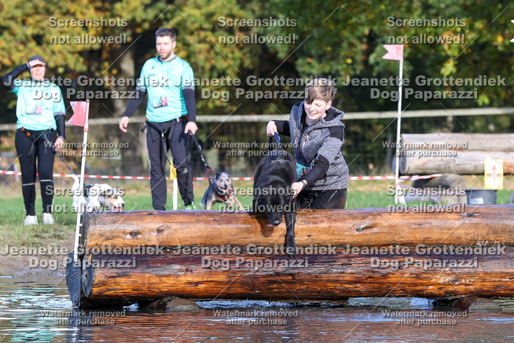 Dog Paparazzi - Strongdog 10-25-8610 | Dog Paparazzi Jeanette Grottendiek Fotografie & Videografie - Realisiert mit Pictrs.com