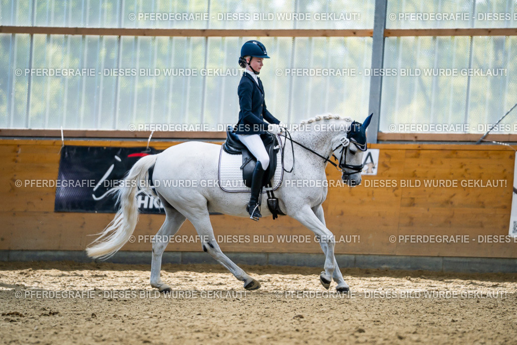 DSC05583 | Pferdegrafie