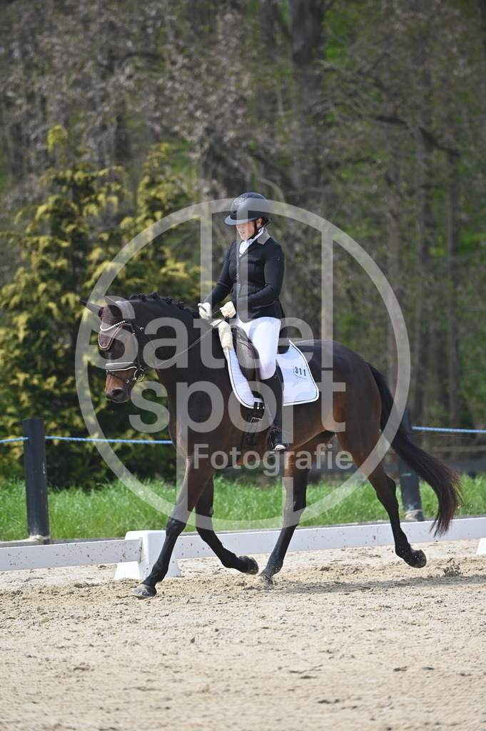 DSC_3115 | sattelsport - Realisiert mit Pictrs.com