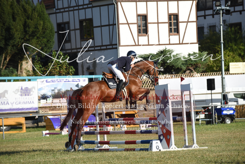 DSC_5048 | Pferde- und Turnierfotografie in Westsachsen. Pferdeportraits, Auftragszeichnungen und intuitive Kunst.