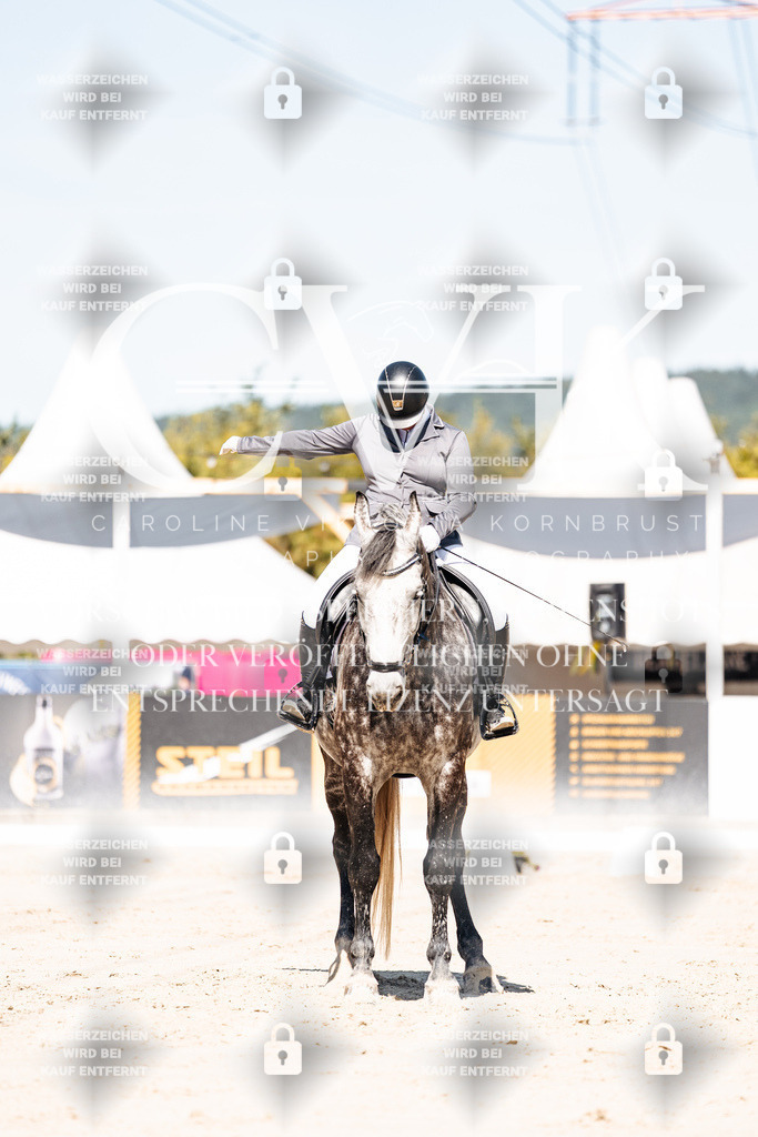 CK909103 | Turnierfotografie Pferdefotografie Trier Rheinland-Pfalz Pferdesport Reitsport Tierfotografie Sportfotografie Pferdevideo Pferdevideografie Equestrianvideography equestrianphotography  - Realisiert mit Pictrs.com
