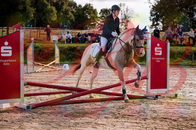 2026_10_03_Siefer-Hof_144218_Z81_14973574 | Professionelle Reitsport-, Turnier- und Eventfotografie von Robert Broda. Galerien mit ausgewählten und bearbeiteten Bildern direkt online ansehen und bestellen.