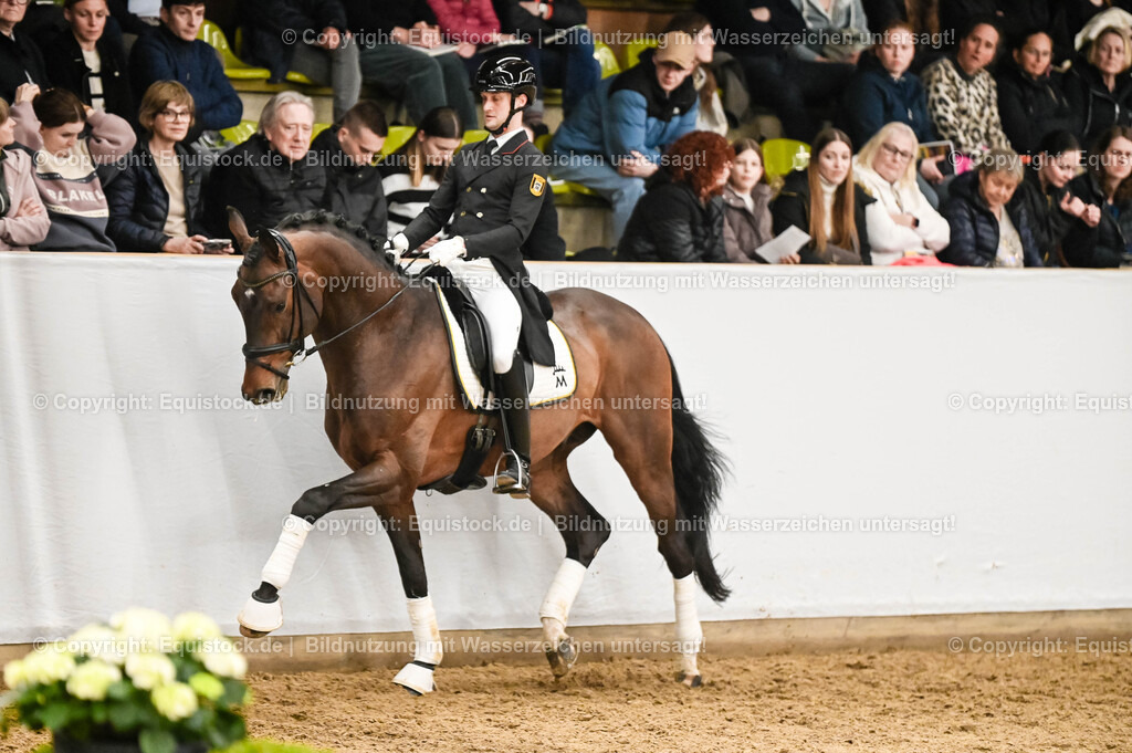 20260307_Hengstvorstellung-Marbach_0381 | equistock