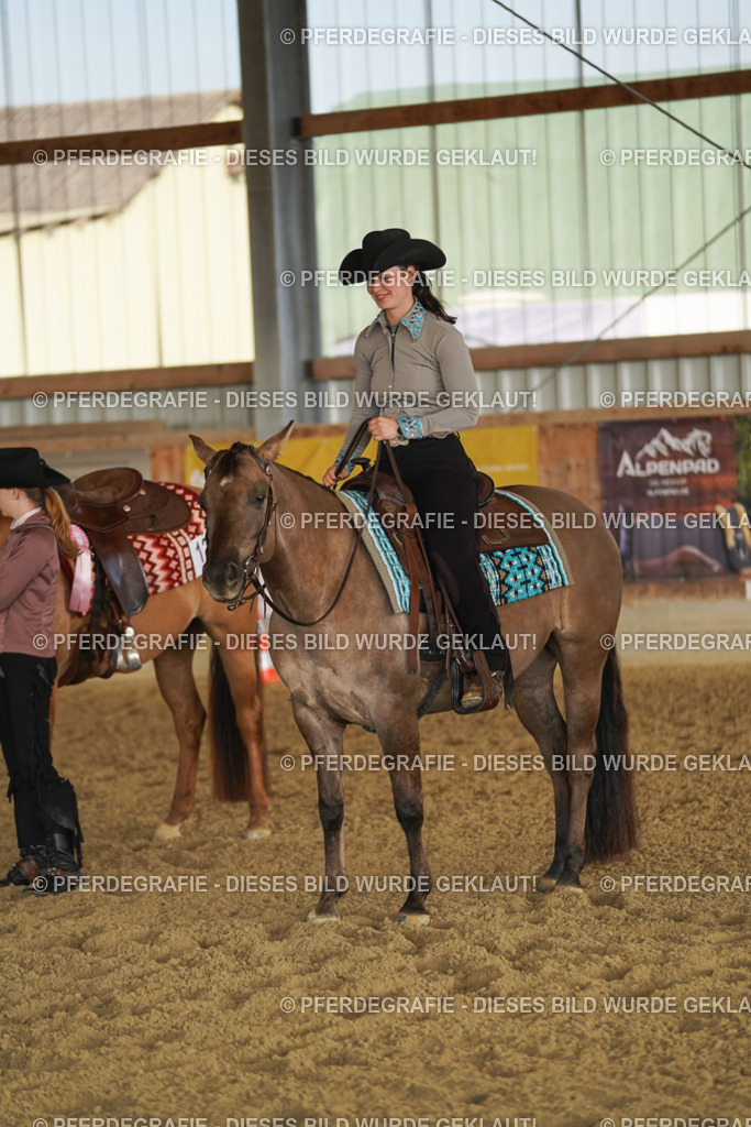 DSC08927 | Pferdegrafie