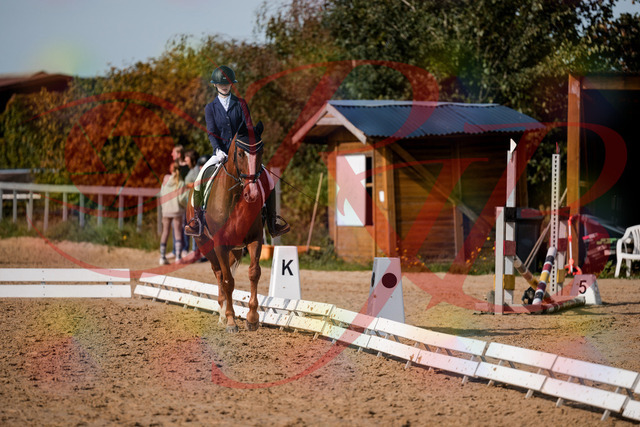 2026_10_03_Siefer-Hof_123439_Z63_52927492 | Professionelle Reitsport-, Turnier- und Eventfotografie von Robert Broda. Galerien mit ausgewählten und bearbeiteten Bildern direkt online ansehen und bestellen.