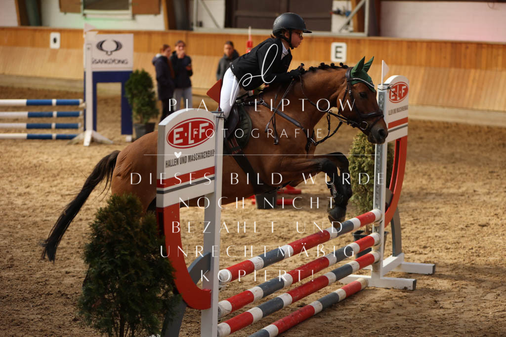 IMGM0794 | pl-fotografie