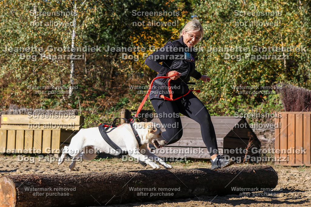 Dog Paparazzi - Strongdog 10-25-2328 | Dog Paparazzi Jeanette Grottendiek Fotografie & Videografie - Realisiert mit Pictrs.com