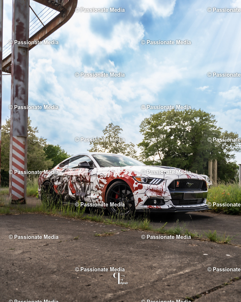 DSC04821 | Passionate Media, dein Fotograf aus Brandenburg, Märkisch Oderland, im Bereich Motorsport, Autos und Motorräder sowie Events und auch Hunde. Shootings oder auch Eventbegleitungen können bei mir gebucht we