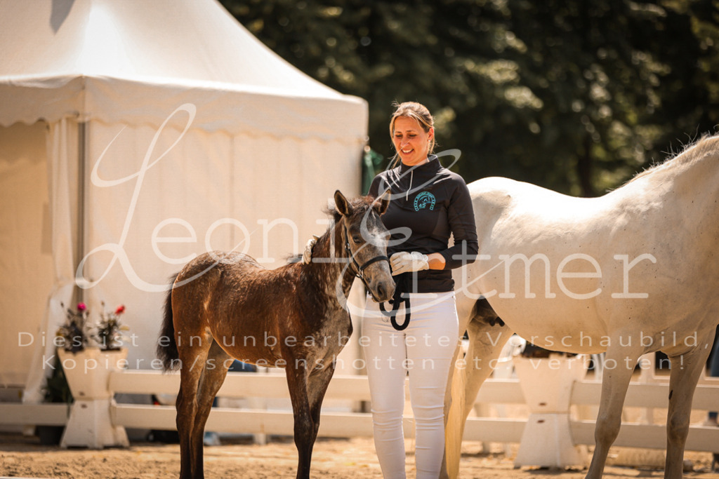 02.DoSR00207 | Leoni Ertmer Photography - Realisiert mit Pictrs.com