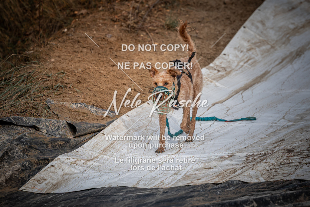 nelerasche_Creepy2025_So1200-Ende_446 | nelerasche