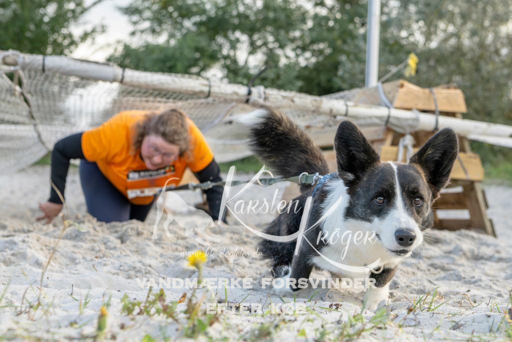 1623_ZZ97287 | kk-dogfotos