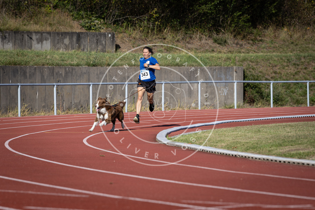 Pfotenfotografie_DV3A8682 | Hundefotografie, Tierfotograf, Pfotenfotografie, Fotoshooting Hund, Hunde Portrait, Hundesport, Hundeportraits, Heideshooting, Hunde, Sportfotograf, Hundefotograf, Turnierhundsport, THS,  - Realisiert mit Pictrs.com