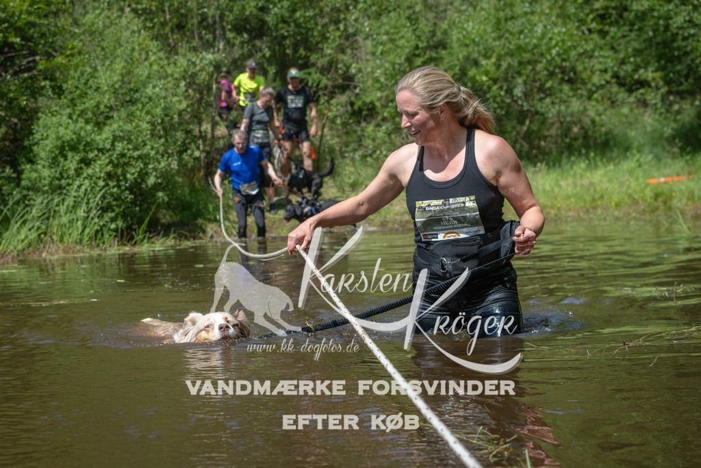 1308DKK993993 | kk-dogfotos