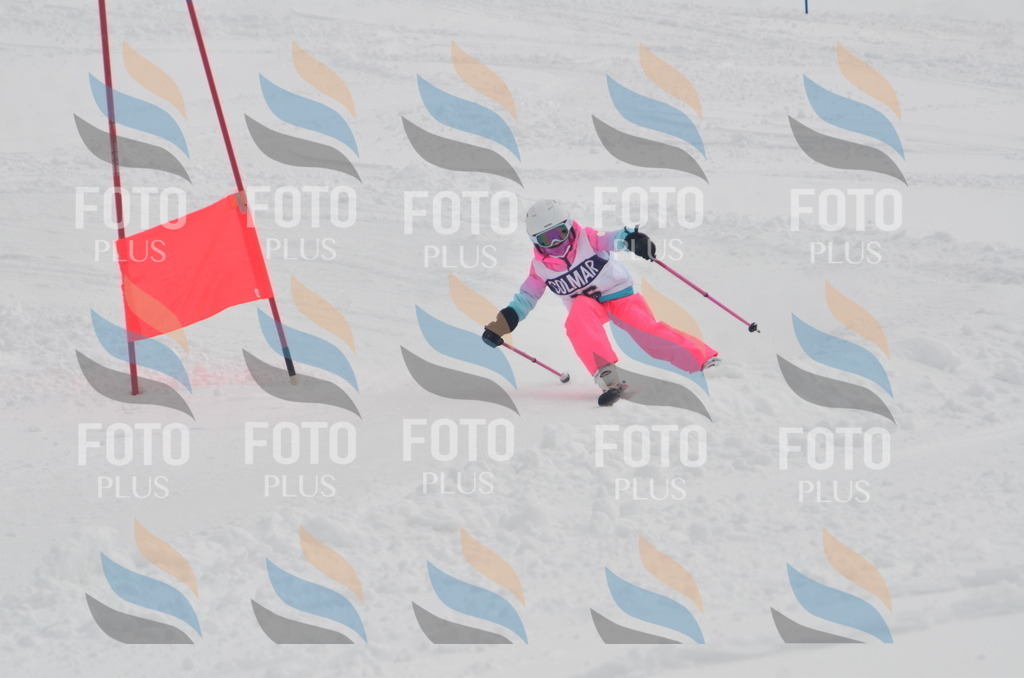 A5122 | holidayphoto