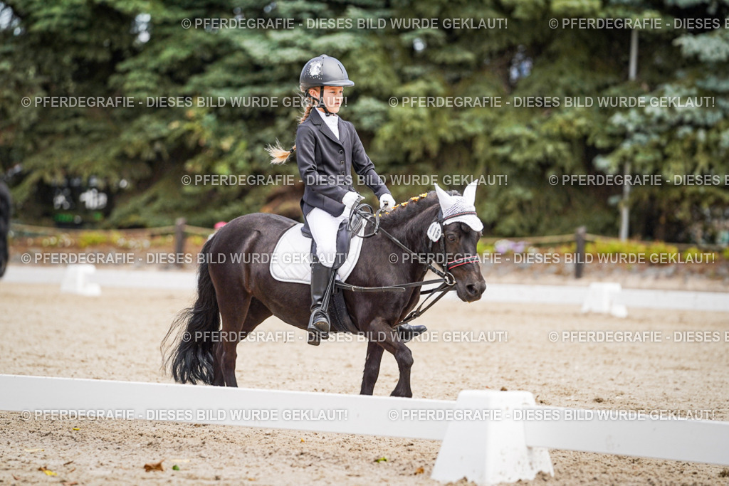 DSC02804 | Pferdegrafie