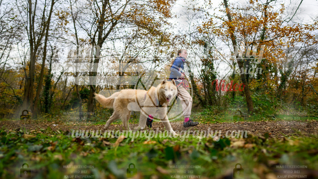 MompixPhotography_Bischwiller24_DI_CoursedeRelais-113 | PayLife