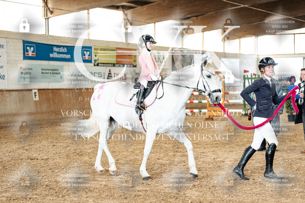 CK906079 | Turnierfotografie Pferdefotografie Trier Rheinland-Pfalz Pferdesport Reitsport Tierfotografie Sportfotografie Pferdevideo Pferdevideografie Equestrianvideography equestrianphotography  - Realized with Pictrs.com