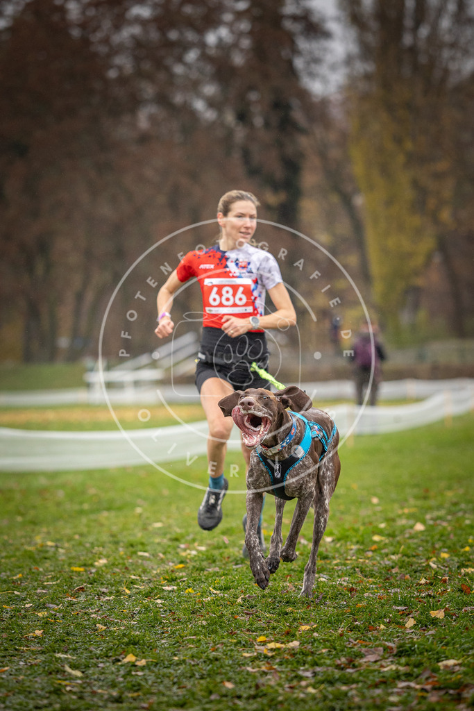 CaniXpix_DV3A8919 | Hundefotografie, Tierfotograf, Pfotenfotografie, Fotoshooting Hund, Hunde Portrait, Hundesport, Hundeportraits, Heideshooting, Hunde, Sportfotograf, Hundefotograf, Turnierhundsport, THS,  - Realisiert mit Pictrs.com