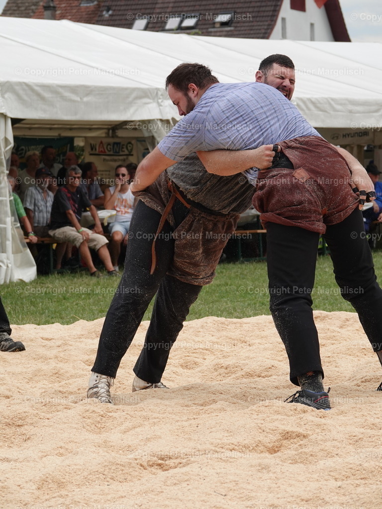 DSC05149 | Schwingen - Realisiert mit Pictrs.com