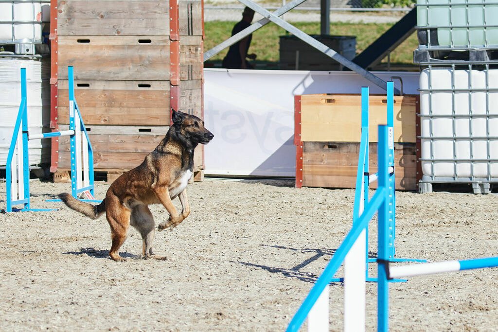 580A0162 | Peter Fridle Fotografie - Realisiert mit Pictrs.com