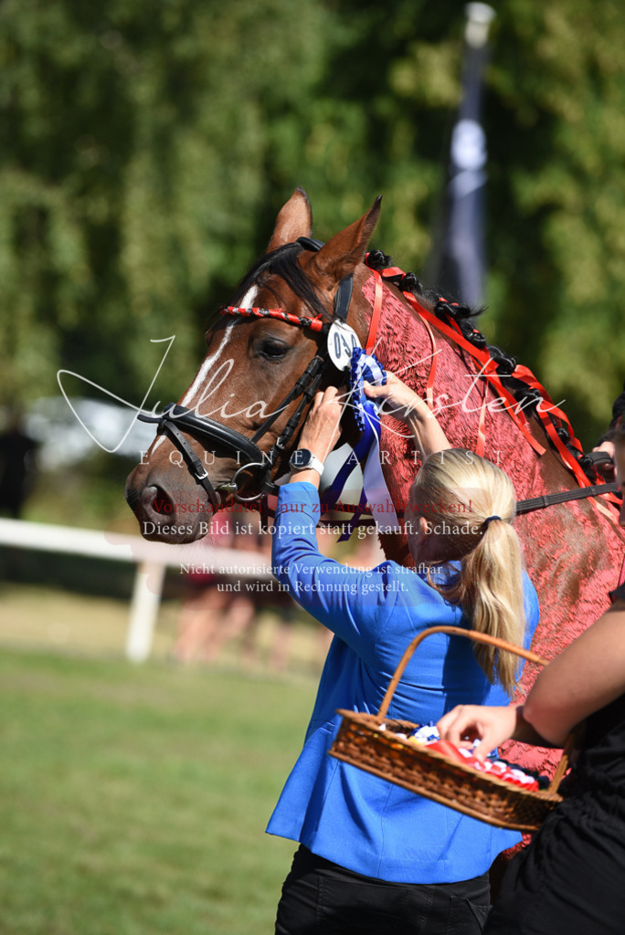 DSC_0458 | Pferde- und Turnierfotografie in Westsachsen. Pferdeportraits, Auftragszeichnungen und intuitive Kunst.
