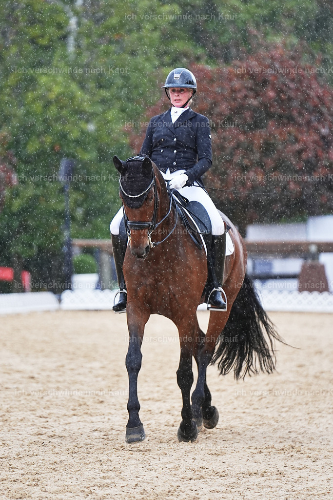 8_1-020-Klasse S_  -Marixx-4352 | working equitationturnier fotograf videograf stoibphotography marixx film working equitation deutschland reitsport turnierfotografie eventfotografie equestrian events