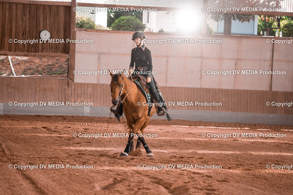 NE201158 | dv-media-shop - Realisiert mit Pictrs.com