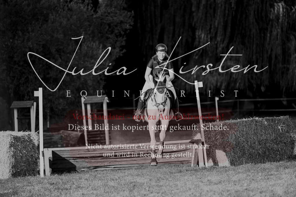 DSC_9197 | Pferde- und Turnierfotografie in Westsachsen. Pferdeportraits, Auftragszeichnungen und intuitive Kunst.