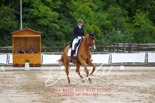 DKP47956 | Turniersportfotografie; Pferdefotografie; Dressurfotografie