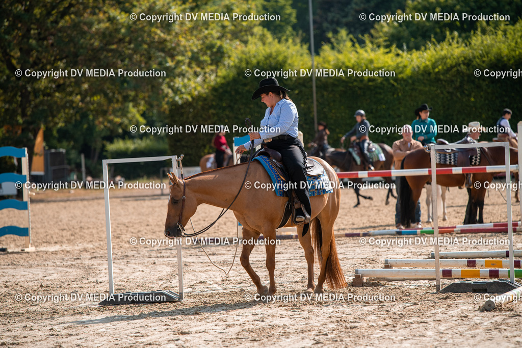 ZS3_9274 | dv-media-shop - Realisiert mit Pictrs.com