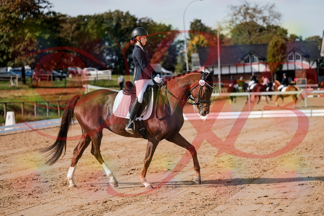 2026_10_03_Siefer-Hof_114722_Z63_25954851 | Professionelle Reitsport-, Turnier- und Eventfotografie von Robert Broda. Galerien mit ausgewählten und bearbeiteten Bildern direkt online ansehen und bestellen.