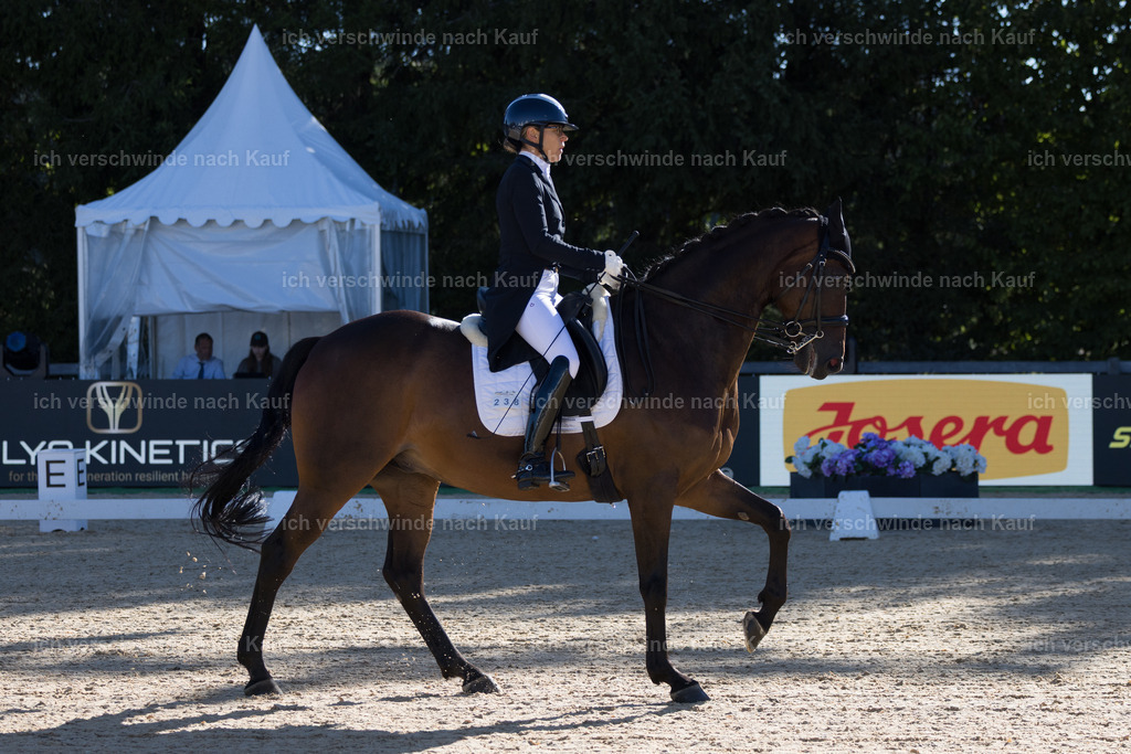 FHC2026_P07_238_17212 | working equitationturnier fotograf videograf stoibphotography marixx film working equitation deutschland reitsport turnierfotografie eventfotografie equestrian events