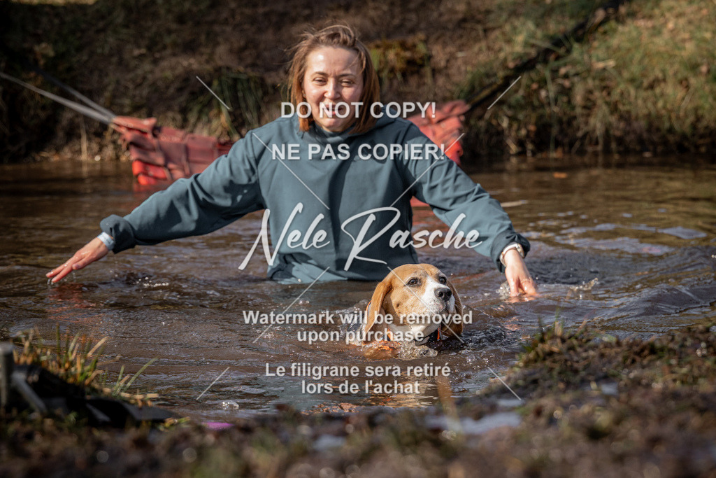 nelerasche_FS1330-1400_387 | nelerasche
