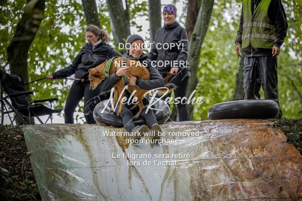 nelerasche_Hunsrück_Sa1430-1500_289-final | nelerasche