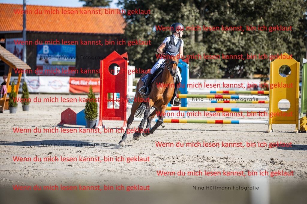 BK1A7392 | Turnierbilder Turnierfotos Nina Hüffmann Turnierfotografie Pferdefotografie Tierzeichnung Haustierzeichnung Pferdezeichnung Hundezeichnung Videograf  - Realisiert mit Pictrs.com