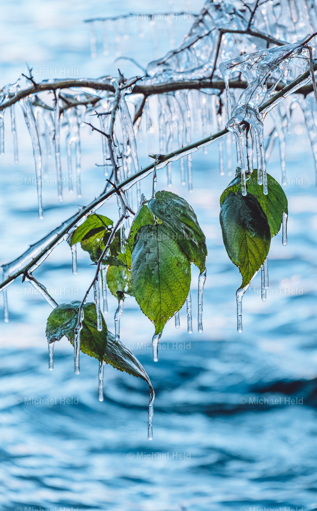 Eiskunstwerke am Selenter See | Profi-Fotos über Schleswig-Holstein und dem ganzen Norden für Büro, Hotel, Ferienhaus, Ferienwohnung, Wohnzimmer, Arztpraxis uvm. jetzt bestellen. - Realisiert mit Pictrs.com