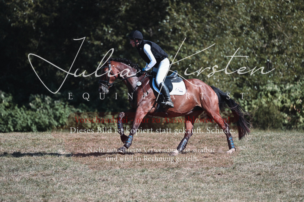DSC_8725-2 | Pferde- und Turnierfotografie in Westsachsen. Pferdeportraits, Auftragszeichnungen und intuitive Kunst.