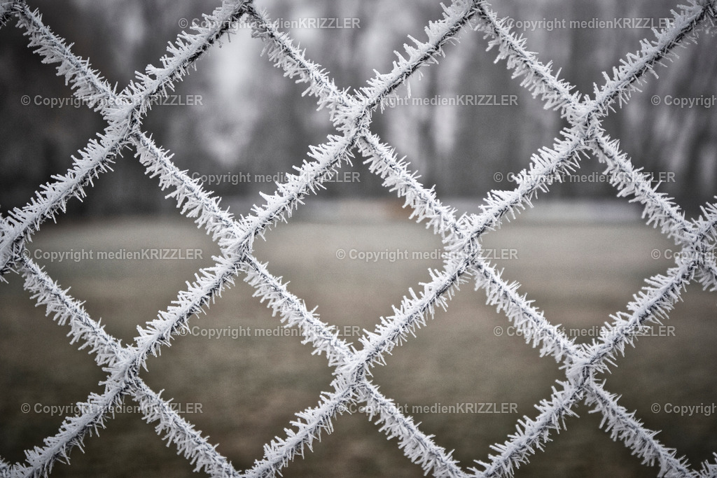 _07A6597 | medienkrizzler - Realisiert mit Pictrs.com