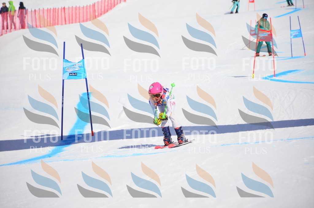 VR4_9630 | holidayphoto