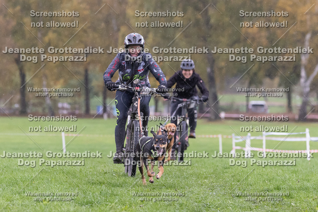 Dog Paparazzi - SD CaniX Championship 2025-941 | Dog Paparazzi Jeanette Grottendiek Fotografie & Videografie - Realisiert mit Pictrs.com